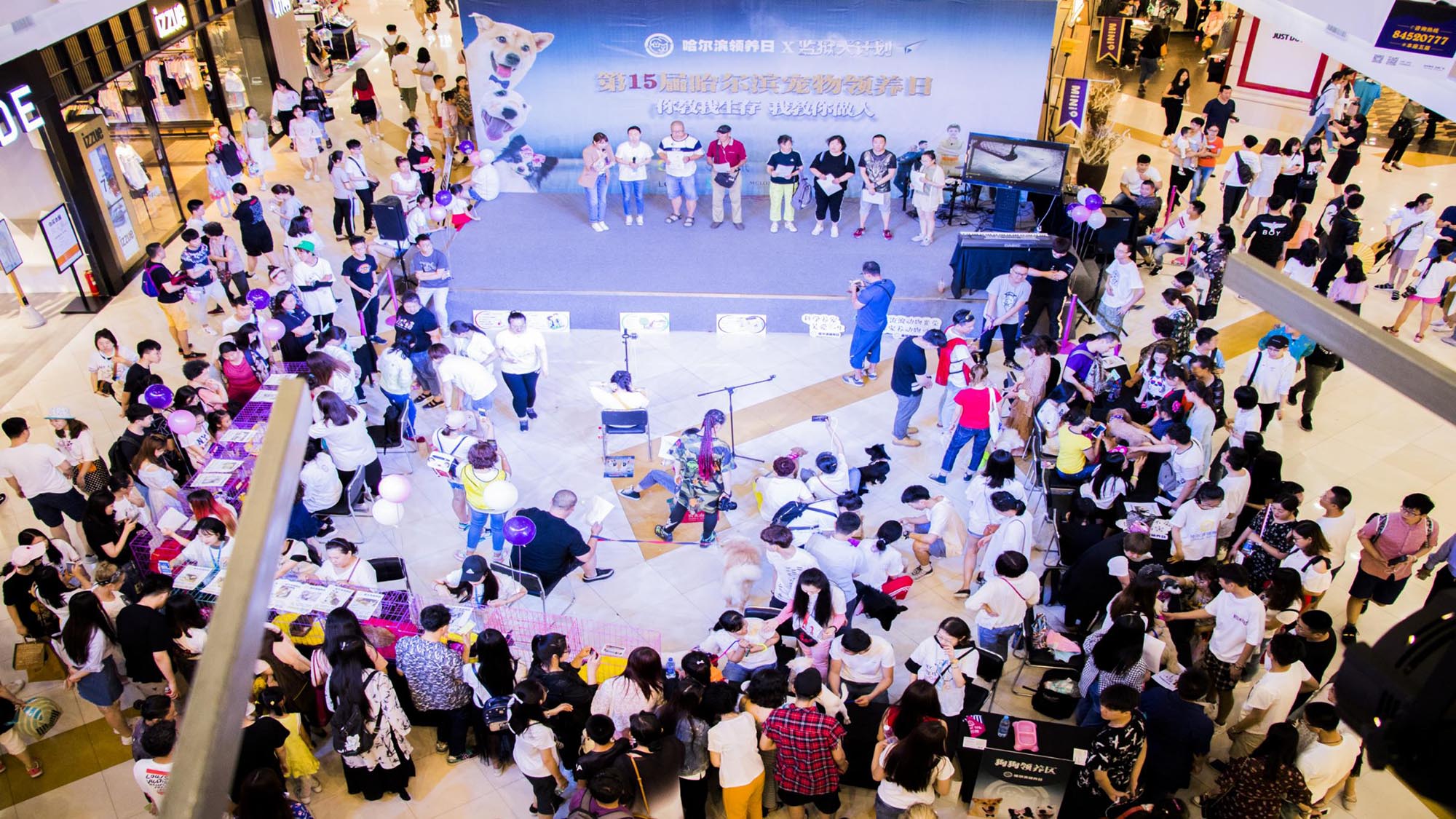 麦格威品牌营销策划有限公司介绍 包2 活动_71.jpg