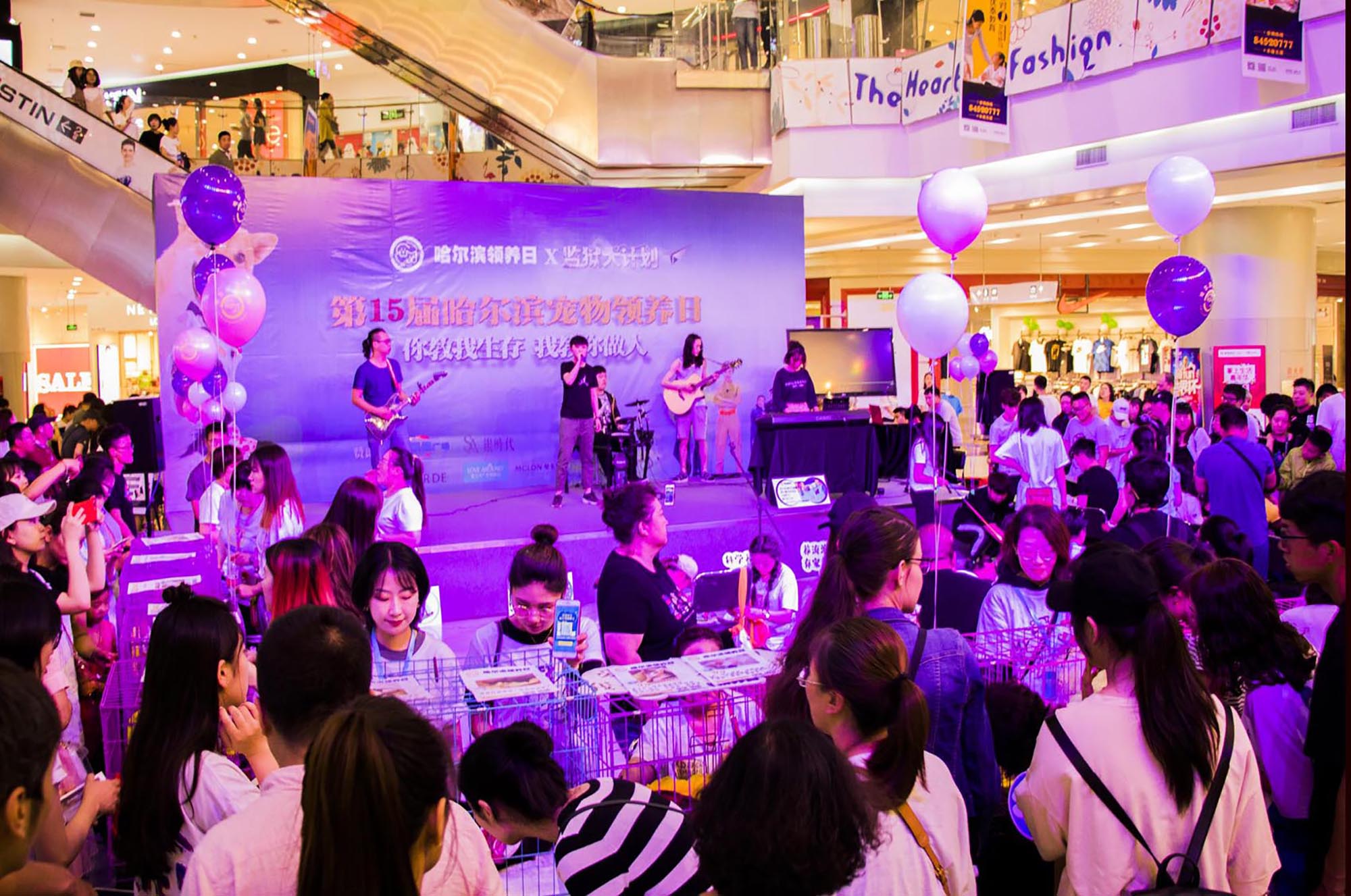 麦格威品牌营销策划有限公司介绍 包2 活动_75.jpg