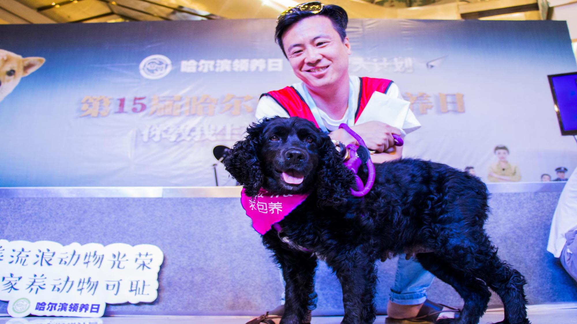 麦格威品牌营销策划有限公司介绍 包2 活动_74.jpg